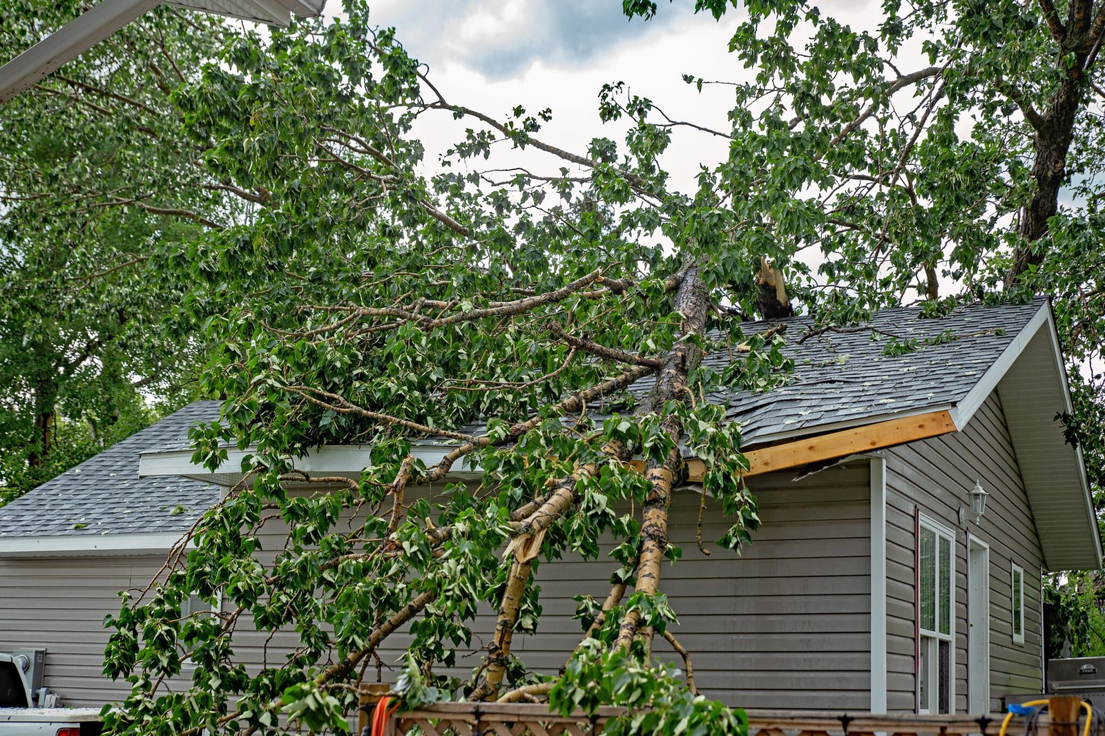 Fallen Tree on a roof - Red Carpet Flood Restoration